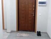    2-   ,  ,. ,.1.1 -  ,    